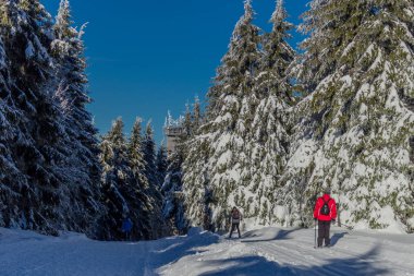 kış güneş ışığı ile Thuringian Forest büyüye