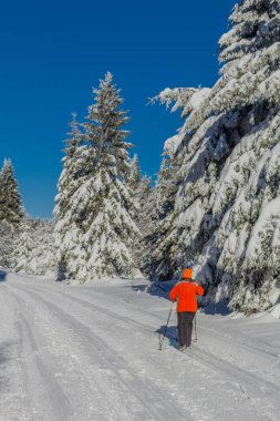 kış güneş ışığı ile Thuringian Forest büyüye