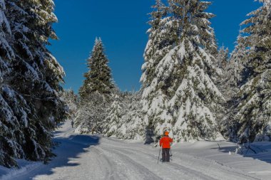 kış güneş ışığı ile Thuringian Forest büyüye