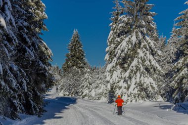 kış güneş ışığı ile Thuringian Forest büyüye
