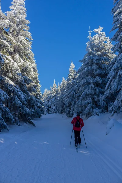 Winter Magic Het Thüringer Woud Met Zon — Stockfoto