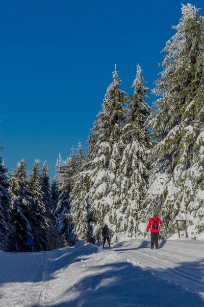 kış güneş ışığı ile Thuringian Forest büyüye