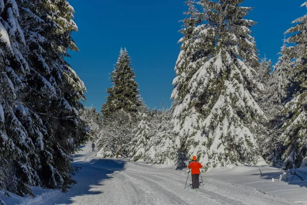 kış güneş ışığı ile Thuringian Forest büyüye
