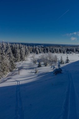 kış güneş ışığı ile Thuringian Forest büyüye