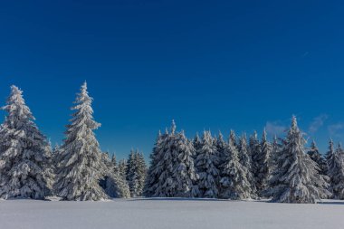 kış güneş ışığı ile Thuringian Forest büyüye