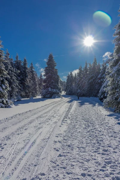 winter magic in the Thuringian Forest with sunshine