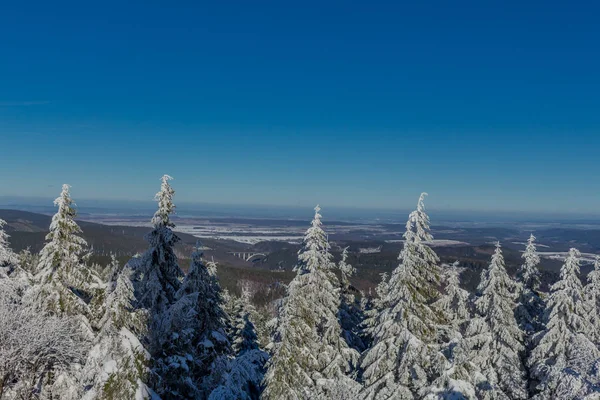 Zimní Kouzlo Durynském Lese Sunshine — Stock fotografie