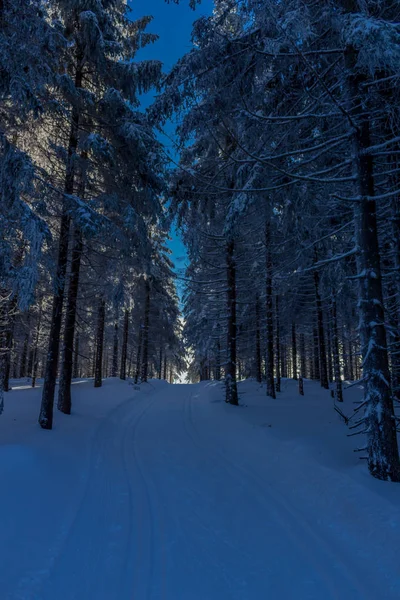 Winterzauber Thüringer Wald Bei Sonnenschein — Stockfoto