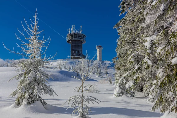kış güneş ışığı ile Thuringian Forest büyüye