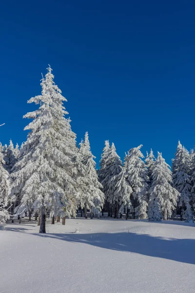 kış güneş ışığı ile Thuringian Forest büyüye