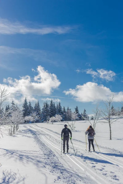 Winter Magic Het Thüringer Woud Met Zon — Stockfoto