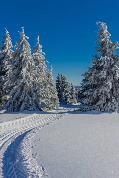 winter magic in the Thuringian Forest with sunshine