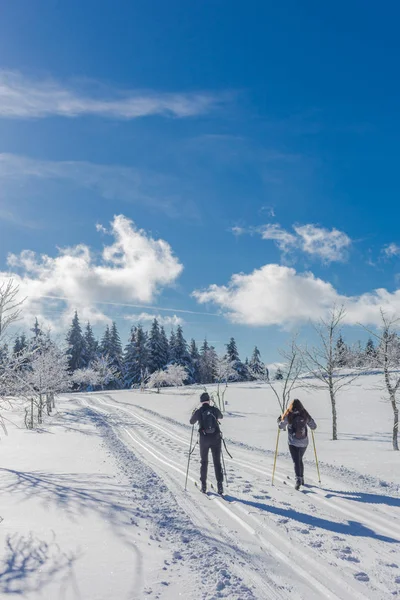 Winter Magic Het Thüringer Woud Met Zon — Stockfoto