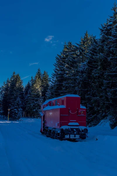 winter magic in the Thuringian Forest with sunshine