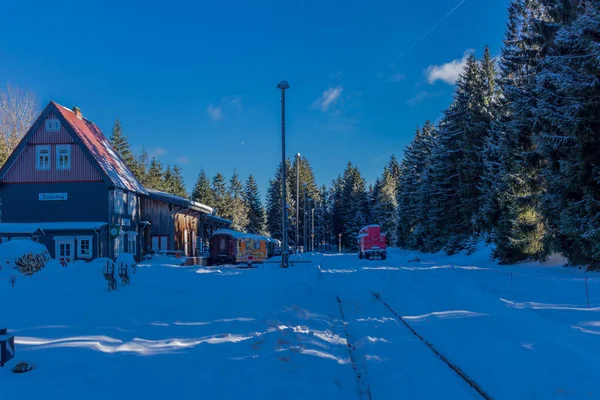 Magia Invierno Bosque Turingia Con Sol — Foto de Stock