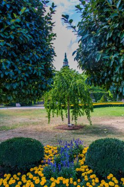 thuringian hainich yaz gün