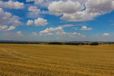 thuringian hainich yaz gün