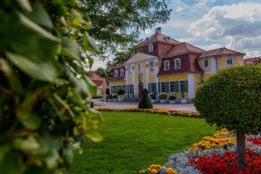 thuringian hainich yaz gün