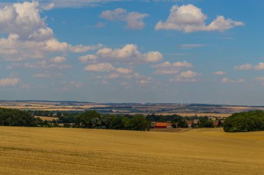 thuringian hainich yaz gün