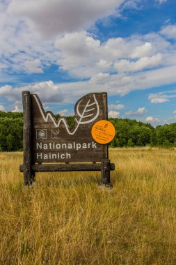 thuringian hainich yaz gün