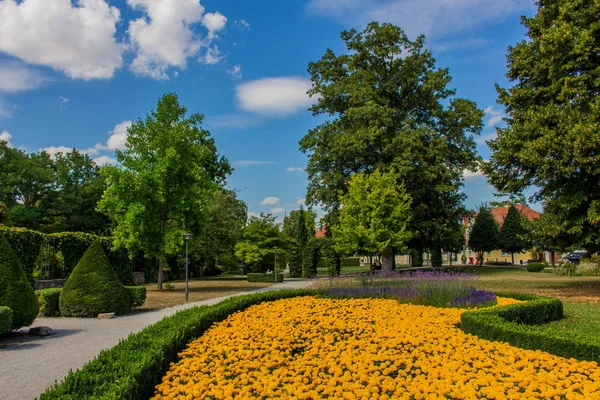 Літній День Тюринзькому Гайничі — стокове фото