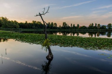 güzel werra Vadisi üzerinden keşif turu