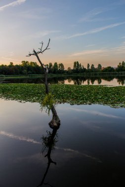 güzel werra Vadisi üzerinden keşif turu