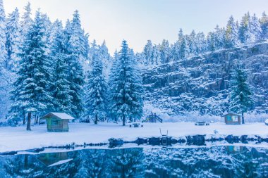 Kışlık cıvıl ekibi üzerinde