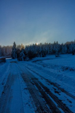 Kışlık cıvıl ekibi üzerinde