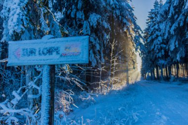 Kışlık cıvıl ekibi üzerinde