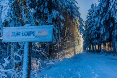Kışlık cıvıl ekibi üzerinde