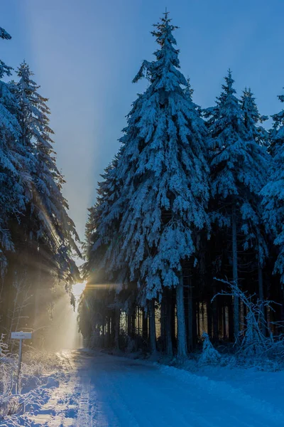 Winterliches Treiben Rennsteig — Stockfoto