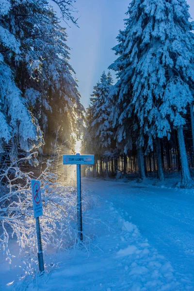 Ajetreo Invernal Bullicio Rennsteig — Foto de Stock