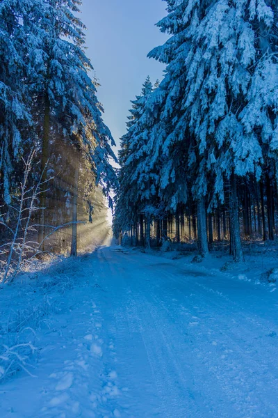 Winterliches Treiben Rennsteig — Stockfoto