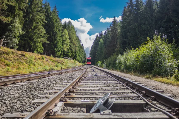 チューリンゲンの森で Oberweisbacher 登山鉄道 — ストック写真