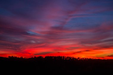 Sunset bulvarında bir yaz akşamı
