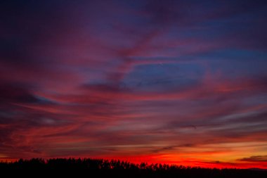 Sunset bulvarında bir yaz akşamı