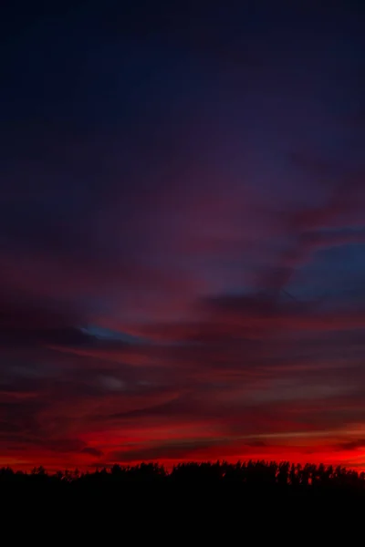 Sonnenuntergang Einem Sommerabend — Stockfoto