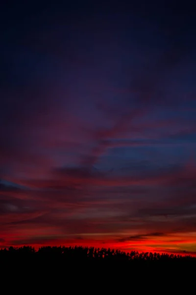 Puesta Sol Una Noche Verano — Foto de Stock