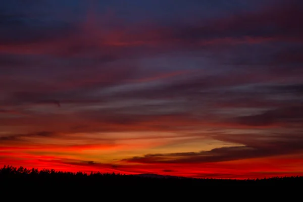 Coucher Soleil Sur Une Soirée Été — Photo