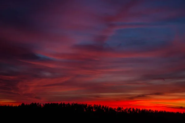 Puesta Sol Una Noche Verano — Foto de Stock