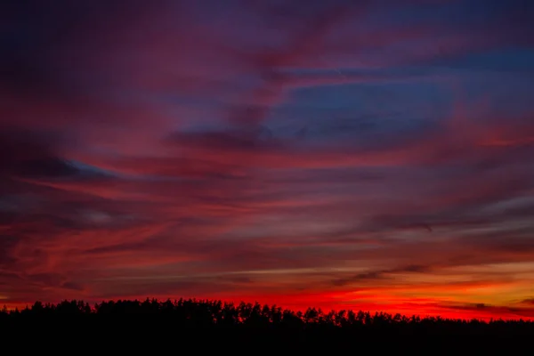 Sonnenuntergang Einem Sommerabend — Stockfoto