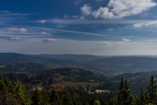 Sulla Strada Nella Foresta Più Fitta Una Giornata Autunno Estiva — Foto Stock