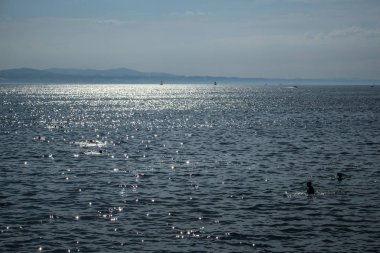 lindau harika yaz günü dilerim bodensee