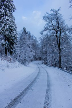 bir gün içinde thuringia kış harikalar diyarı