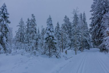 yolda kış manzara ile güzel harz içinde
