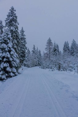 yolda kış manzara ile güzel harz içinde