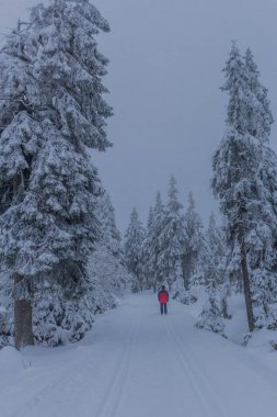 yolda kış manzara ile güzel harz içinde
