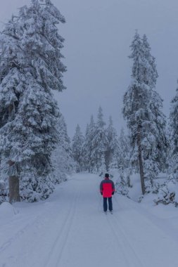 yolda kış manzara ile güzel harz içinde