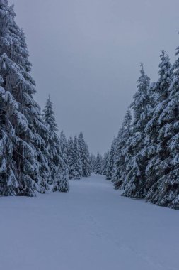 yolda kış manzara ile güzel harz içinde